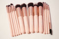 Flawless brush set